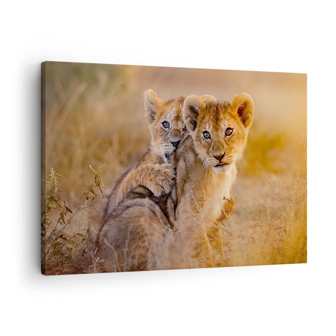 Bilder auf Leinwand Löwe Natur Tier Leinwandbild mit Rahmen 70x50cm Wandbilder Dekoration Wohnzimmer