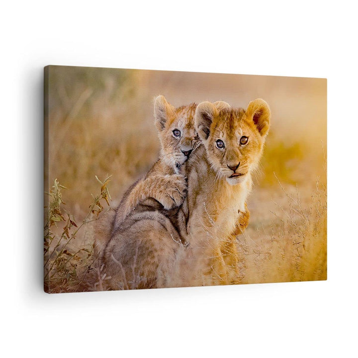 Bilder auf Leinwand Löwe Natur Tier Leinwandbild mit Rahmen 70x50cm Wandbilder Dekoration Wohnzimmer
