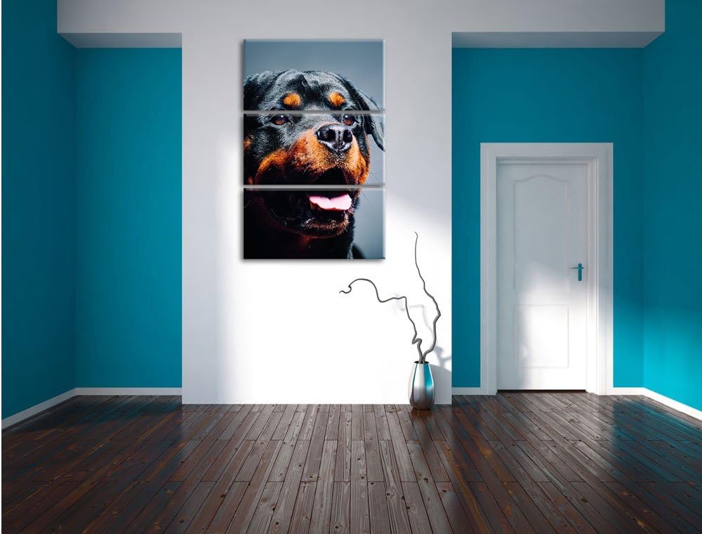 Pixxprint Treuer Rottweiler als Leinwandbild | Grösse: 3 Teilig (120x80) | Wandbild| Kunstdruck | fe