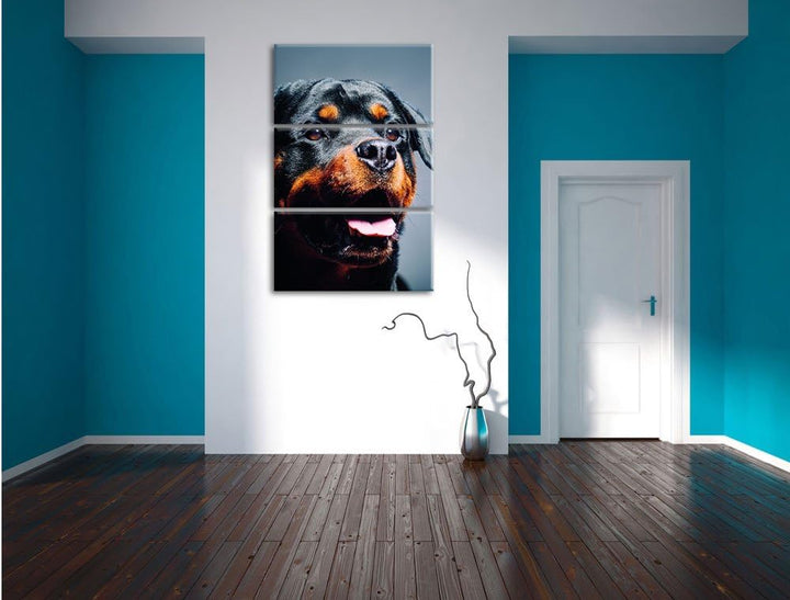 Pixxprint Treuer Rottweiler als Leinwandbild | Grösse: 3 Teilig (120x80) | Wandbild| Kunstdruck | fe