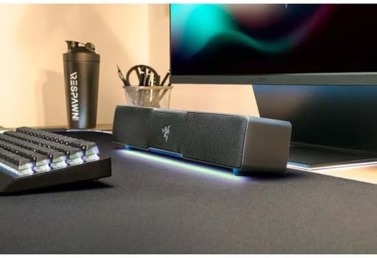 Razer Leviathan V2 X - PC-Gaming-Soundbar (PC-Soundbar mit Full-Range-Treibern, Kompaktes Format, St