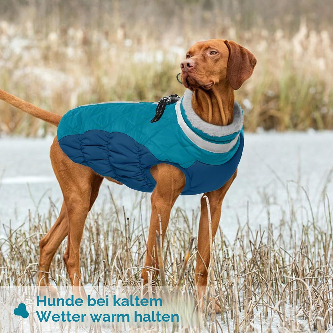 Hundemantel XS, Hundepulli für Kleine Hunde Welpenmantel Hundepullover Hundejacken Winterweste für K