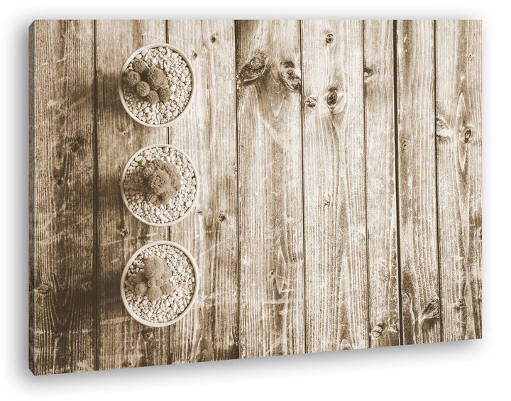 deyoli winzige Kakteen Format: 80x60 Effekt: Sepia als Leinwand, Motiv fertig gerahmt auf Echtholzra