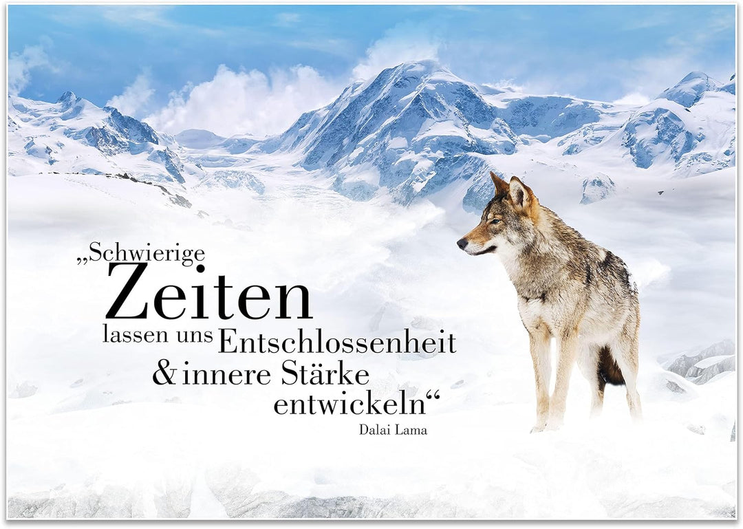 wandmotiv24 Poster als Wanddeko, Grösse Din A0, Wolf in den Bergen, Entschlossenheit, Wölfe, Tiere,