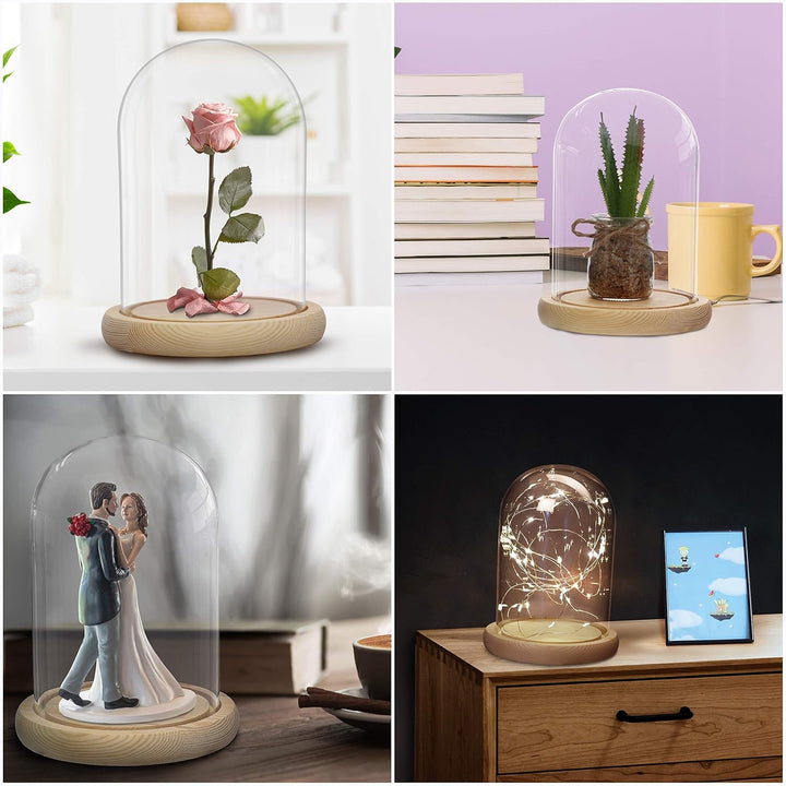 BELLE VOUS Glasglocke mit Holzboden - 20cm hohe Glaskuppel mit Holzboden - Glasglocke Gross Deko - t