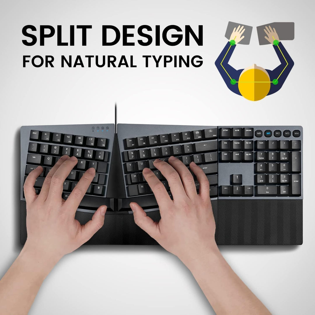 Perixx PERIBOARD535BL Kabelgebundene ergonomische mechanische Tastatur in voller Grösse – Flache Bla