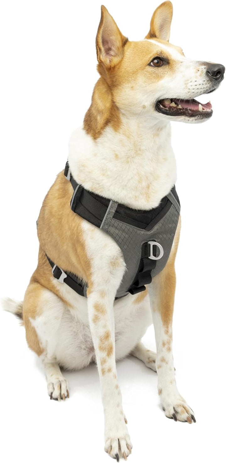 Kurgo Journey Air Hundegeschirr, Mit gepolstertem Brustteil und Rückgriff, Für Hunde von 23-34 kg, G