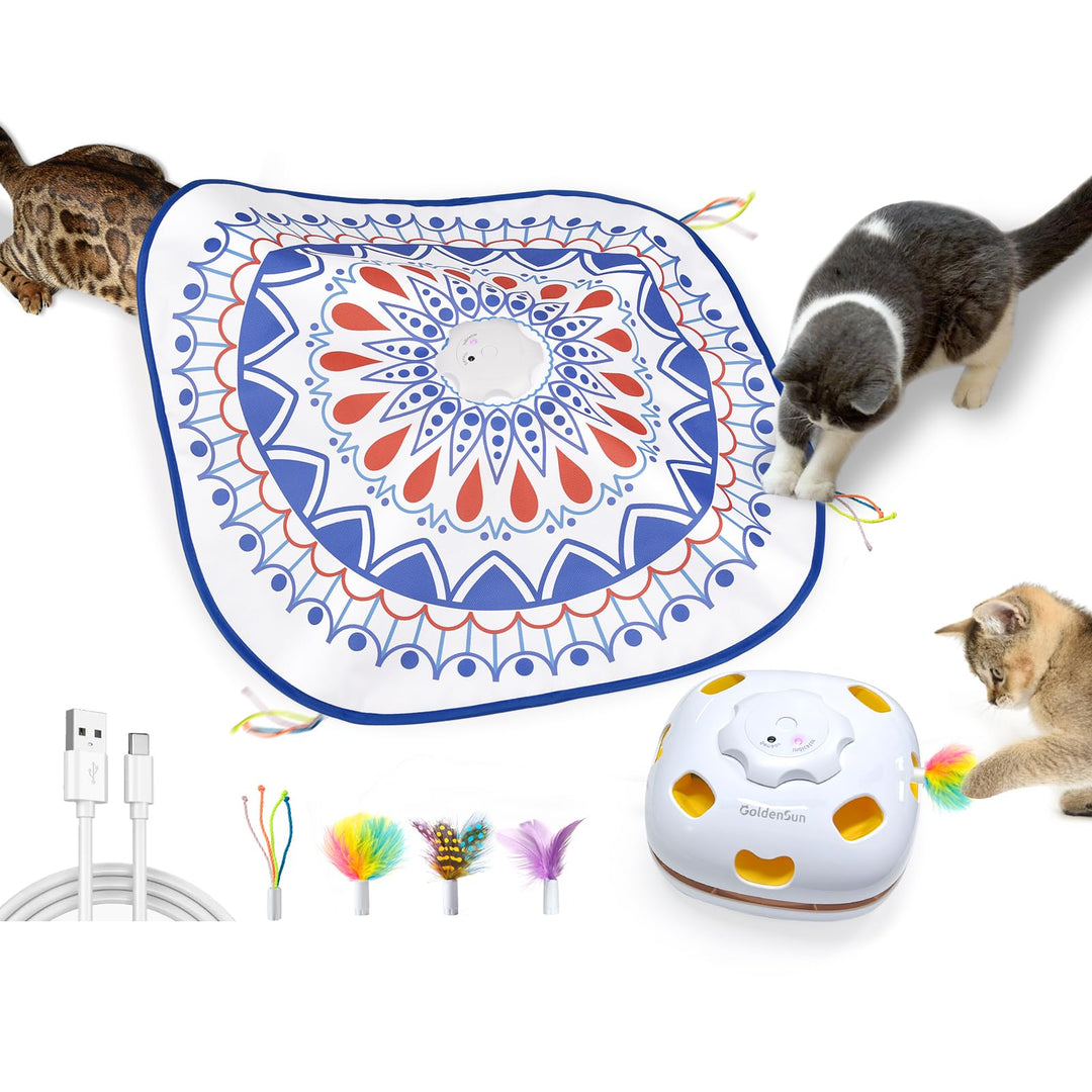 GoldenSun Katzenspielzeug, Aufladbares Interaktives 4-in-1 Katzen Zubehör im Innenbereich, Kitten Sp