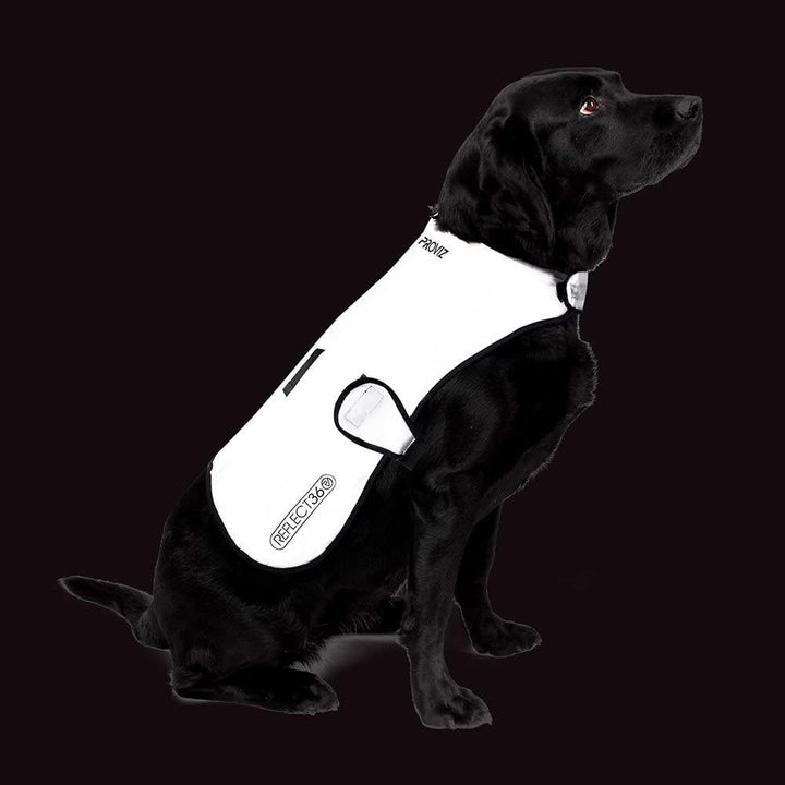 Proviz Sports 100% Reflective High-Vis Waterproof Dog Coat, S