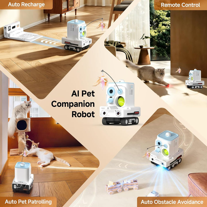 Pmate Haustier Begleiter Roboter mit 2-Wege-Audio & Nachtsicht Haustier Kamera mit KI-Pet-Tracking H