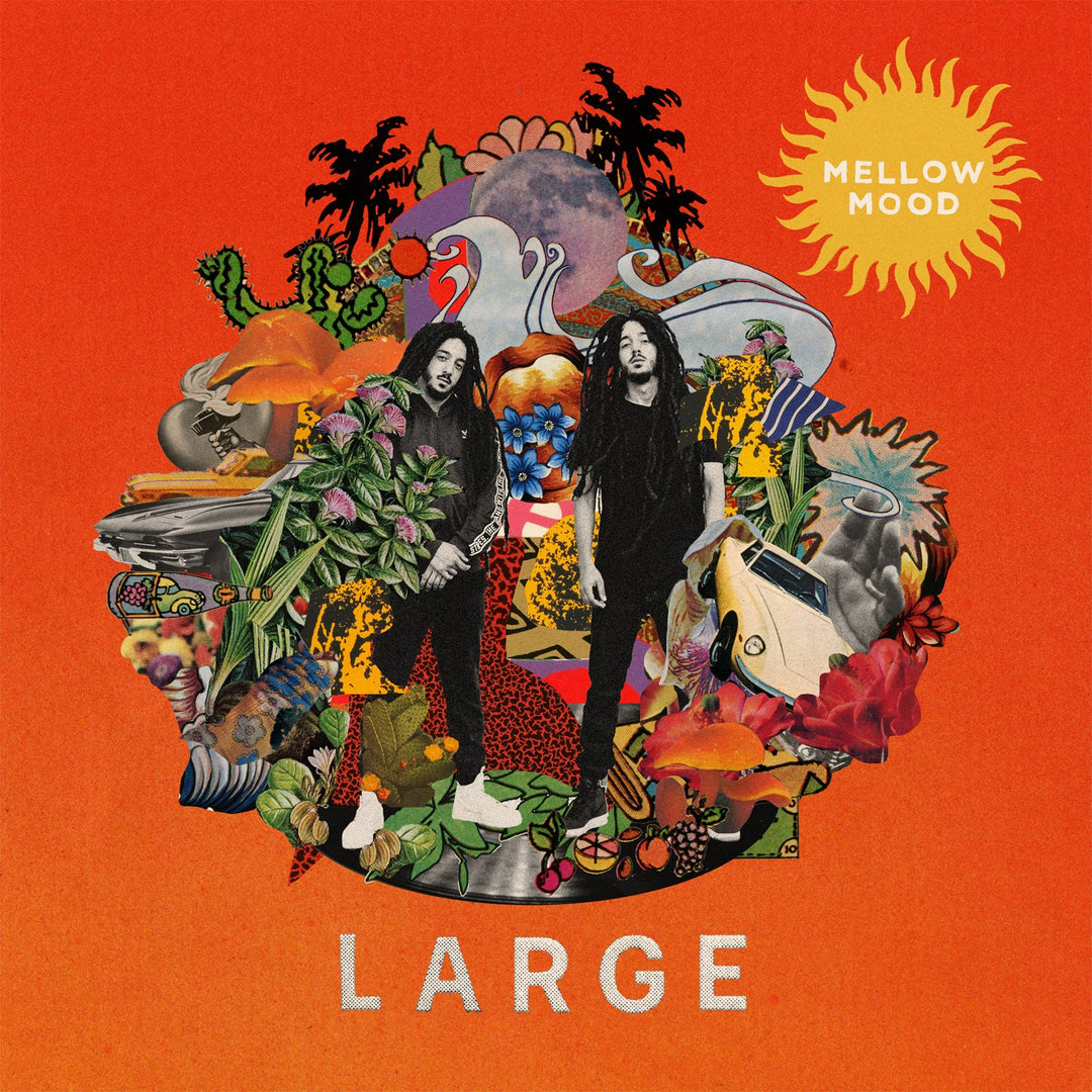 Large, Vinyl
