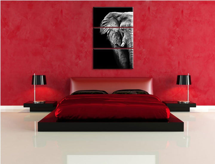 Pixxprint Elefant Porträt als Leinwandbild/Grösse: 3 Teilig (120x80) cm/Wandbild/Kunstdruck/fertig b