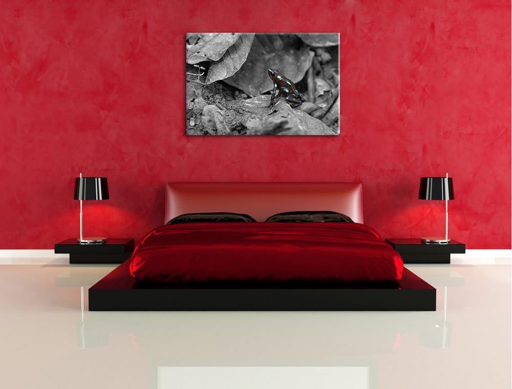 kleiner schwarzer Baumsteigerfrosch schwarz/weiss auf Leinwand, XXL riesige Bilder fertig gerahmt mi