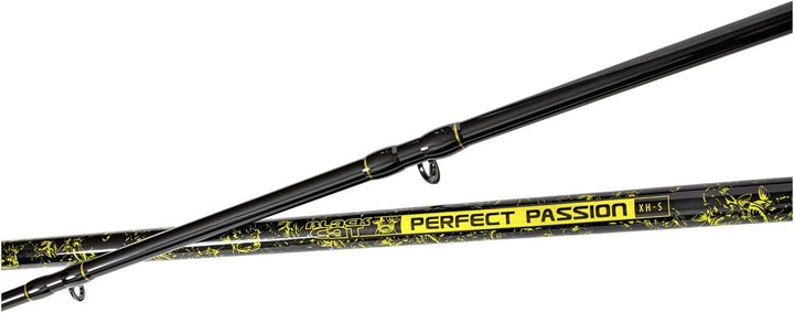 Black Cat Premium Welsrute Perfect Passion XH-S Angelrute vielseitig Einsetzbar mit IM6 Blank Wels A