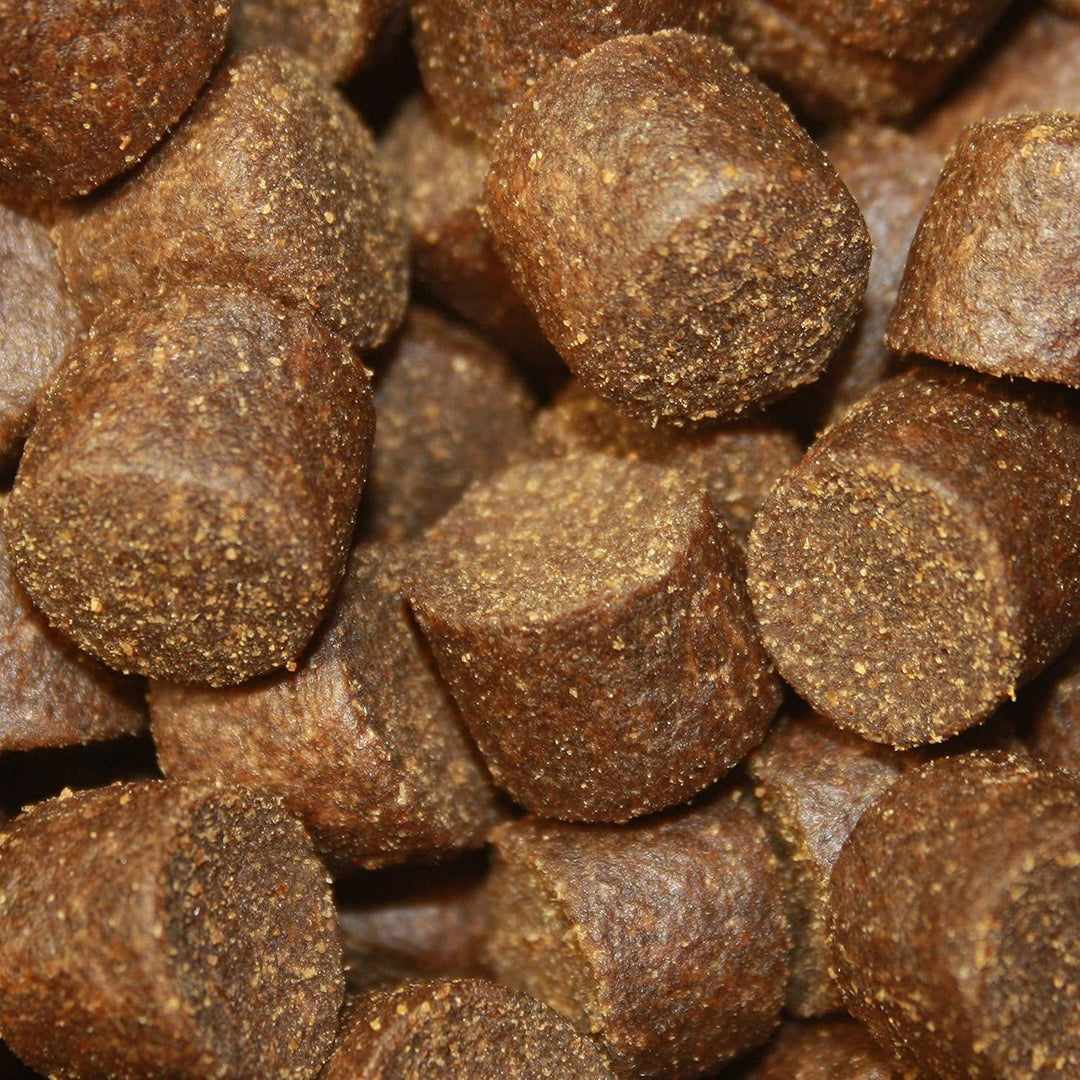 Störfutter extragross 10mm Energiefutter für Störe, Störsinkfutter deutsche Top Qualität, Tomodachi