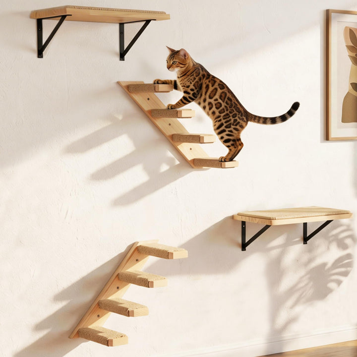 Katzen Kletterwand, Katzentreppe Wand 3er-Set mit 2 Kletterstufen & 2 Schlafplattform, Wandmontierte