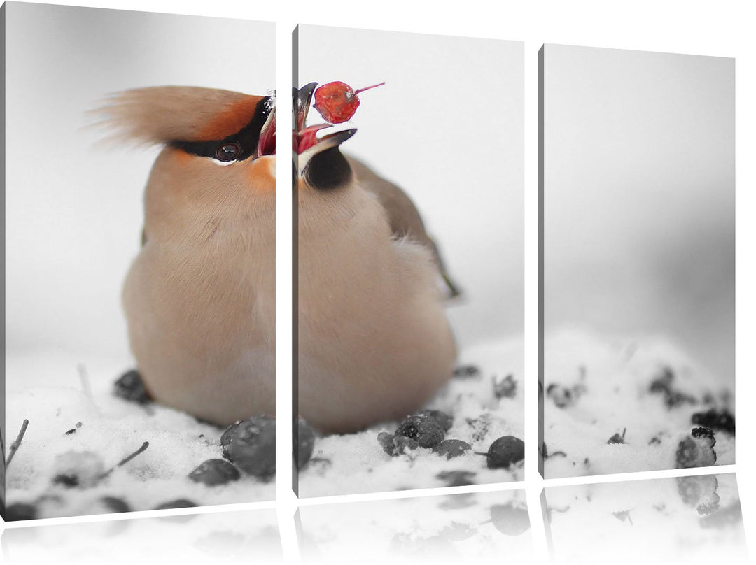 Pixxprint Kleiner Vogel im Schnee Schwarz/Weiss 3-Teiler Leinwandbild 120x80 Bild auf Leinwand