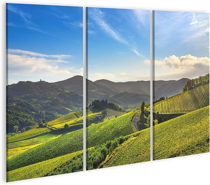 islandburner Bild auf Leinwand Radda Chianti Weinberg Panorama Sonnenuntergang Toskana Italien Herbs