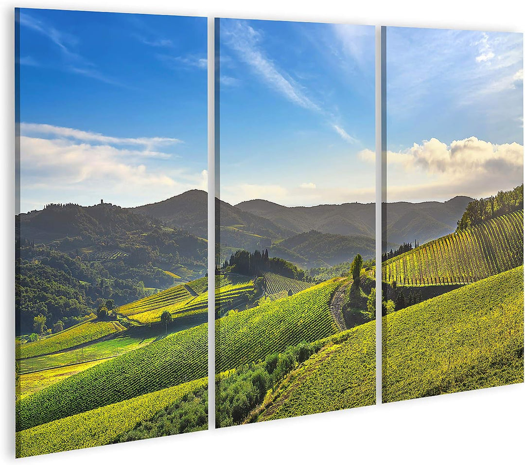 islandburner Bild auf Leinwand Radda Chianti Weinberg Panorama Sonnenuntergang Toskana Italien Herbs