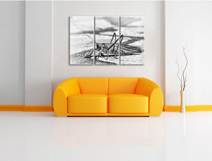 Pixxprint Elegante Heuschrecke als Leinwandbild/Grösse: 3 Teilig (120x80) cm/Wandbild/Kunstdruck/fer