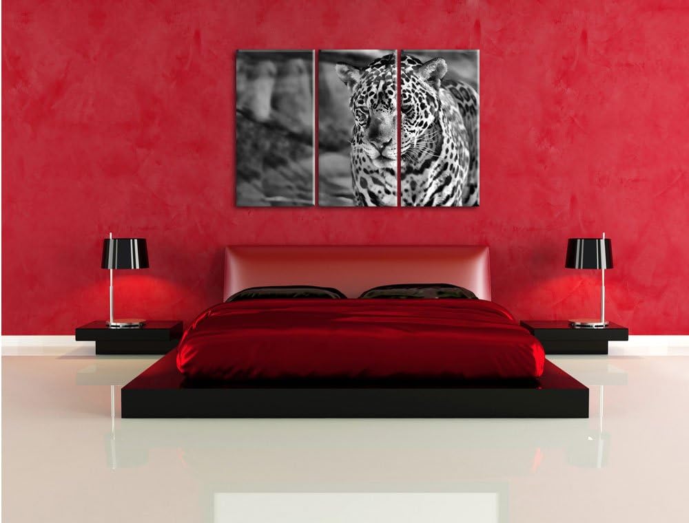Pixxprint Leopard, Wüste, als Leinwandbild/Grösse: 3 Teilig (120x80) cm/Wandbild/Kunstdruck/fertig b