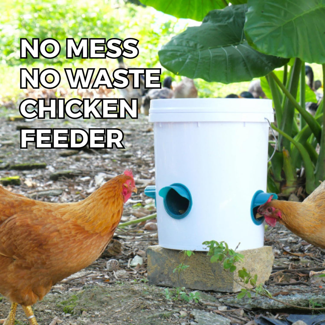 Whimsii Hühnerfutterspender ohne Abfall, 6 Anschlüsse + Lochsäge, Automatischer Hühnerfutterspender,