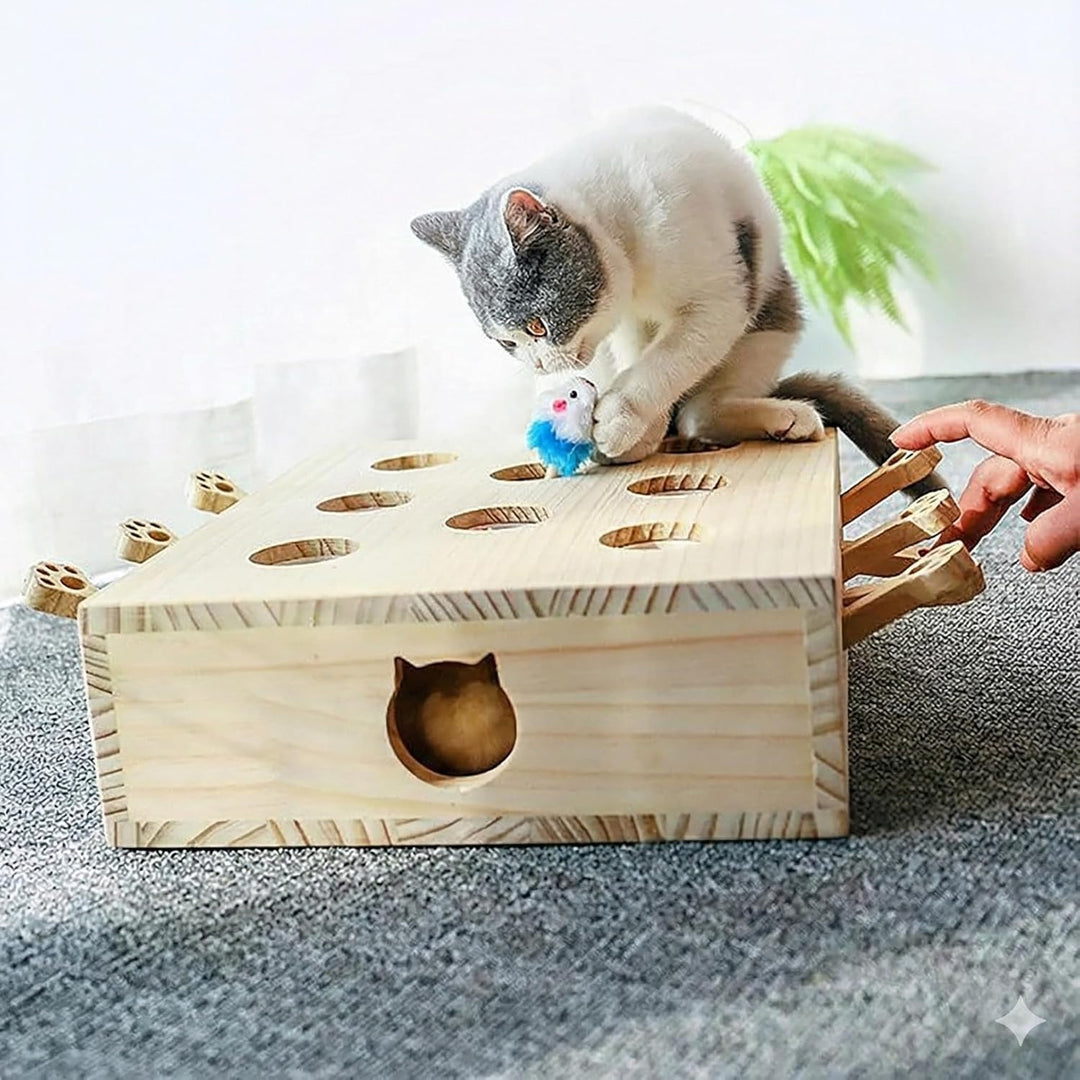 Permangallop Interaktives Katzenspielzeug, Holz, Spielzeug, Maulwurf Maus, Puzzle Box mit süssen Car