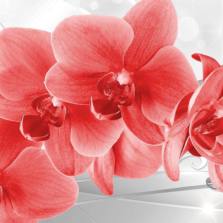Runa Art Wandbilder Blumen Orchidee 5 Teilig Bild auf Vlies Leinwand Deko Wohnzimmer Silber Rot 2107