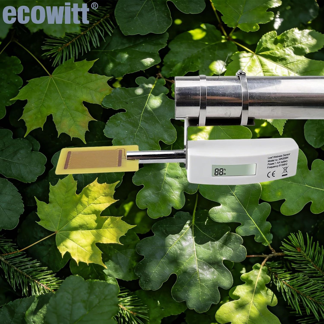ECOWITT WN35 Blattoberflächen-Feuchtigkeitssensor mit LCD-Display, nur ein Zubehörteil, kann nicht a