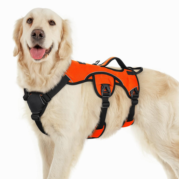 rabbitgoo Ausbruchsichere Hundegeschirr Grosse Hunde mit Griff, Anti Zug Sicherheitsgeschirr Hund At