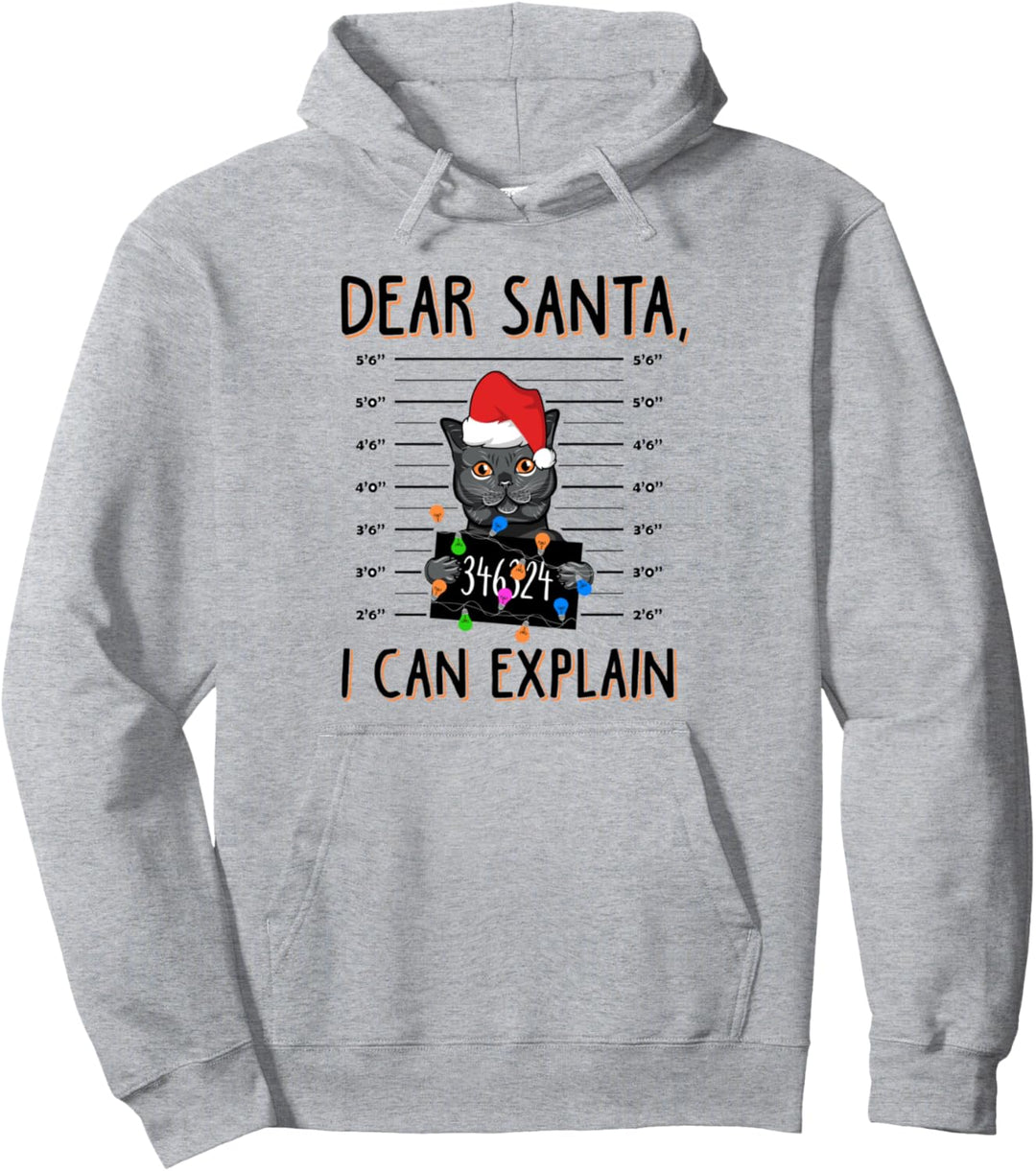 Dear Santa I Can Explain Funny Cat Ugly Christmas Pullover Hoodie