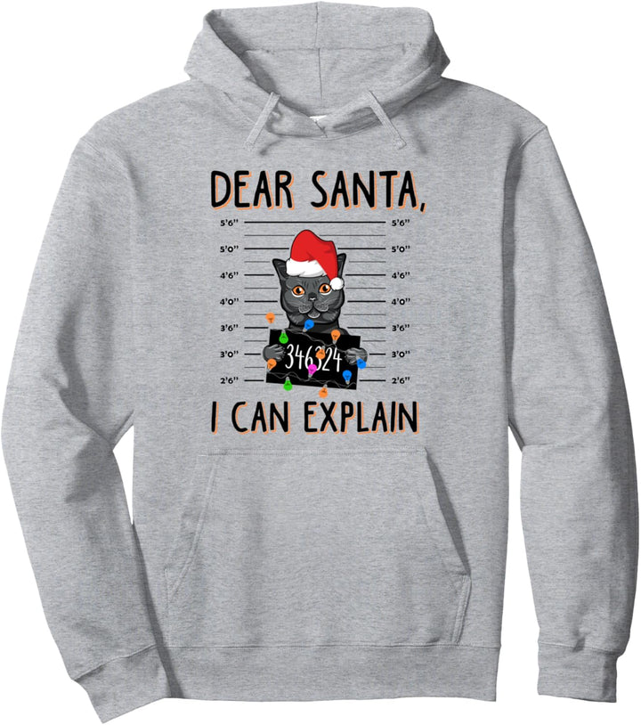 Dear Santa I Can Explain Funny Cat Ugly Christmas Pullover Hoodie