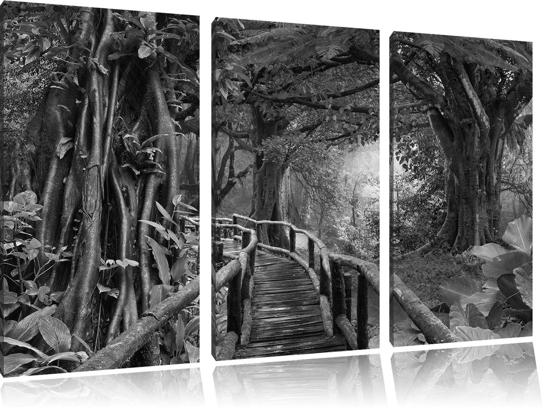 Pixxprint Tropenwald / 3-Teilig/Gesamtmass 120cm Leinwandbild bespannt auf Holzrahmen/Wandbild Kunst