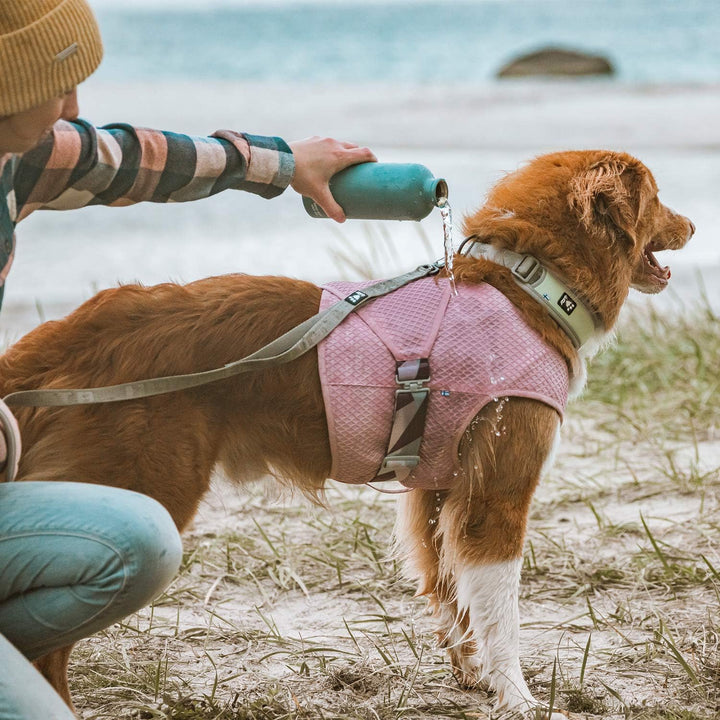 Hurtta Cooling Wrap Kühlweste für Hunde, Kühlweste Sommer Hundejacke, Rosa, 45-55cm Carnation Pink 4
