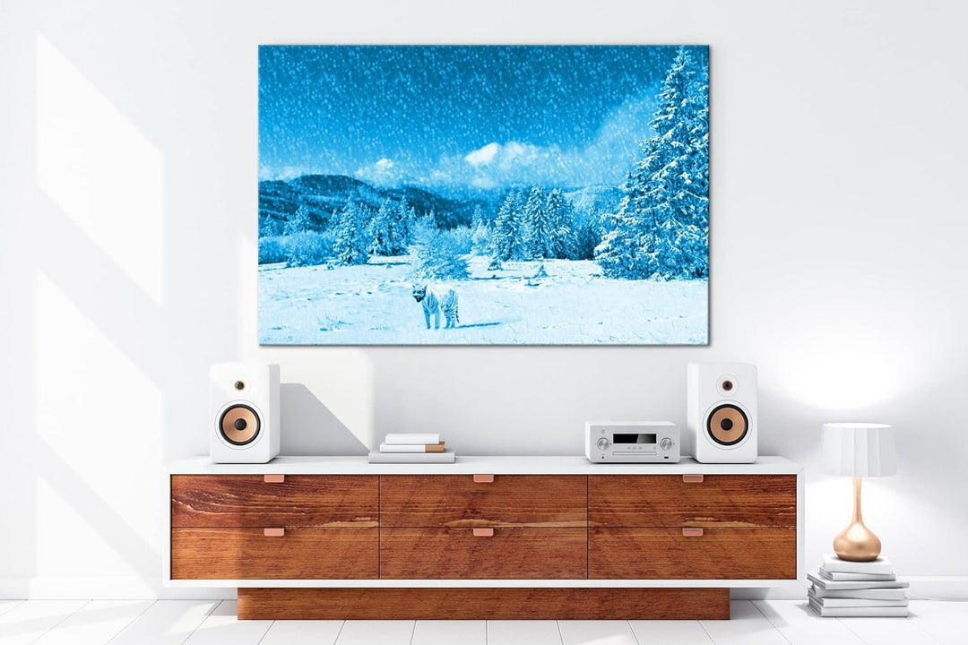 deyoli Tiger im Schneesturm Format 80x60 Effekt: Monocrome Blau als Leinwandbild, Motiv fertig gerah