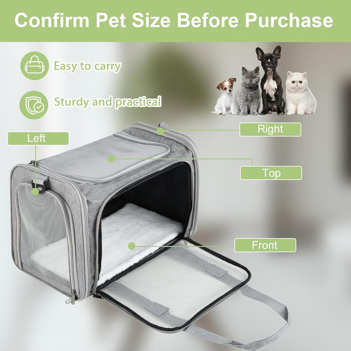 Haustiertragetasche – Faltbare Transportbox Katze & Hund, Leichte Katzentransporttasche mit Schulter
