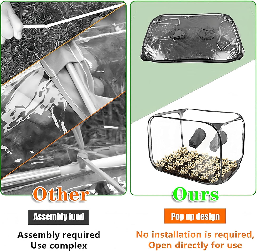 Pilzzucht-Set faltbar, Still Air Box | 85 x 52 x52 cm transparentes Pilzzuchtzelt | Tragbares Pop-Up