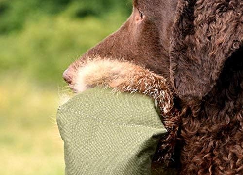FIREDOG Fuchsdummy | Dummy mit echtem Fuchsfell | Dreiteilig für das Apportiertraining | 4000g