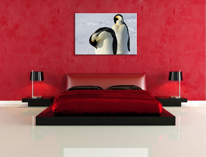 zwei Kaiserpinguine beim Putzen Leinwand, XXL riesige Bilder fertig gerahmt mit Keilrahmen, Kunstdru