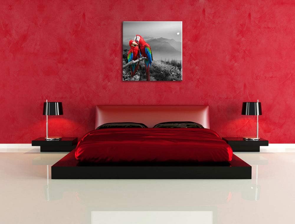 süsse Papageien auf AST schwarz/weiss, Format: 70x70 auf Leinwand, 70x70