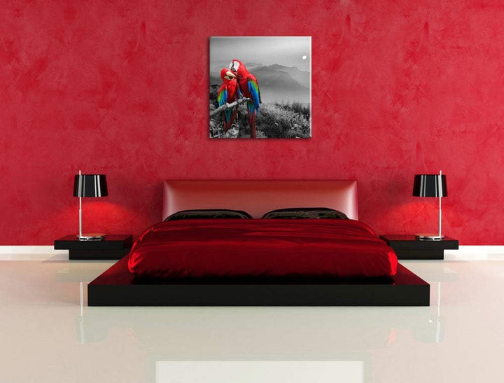 süsse Papageien auf AST schwarz/weiss, Format: 70x70 auf Leinwand, 70x70