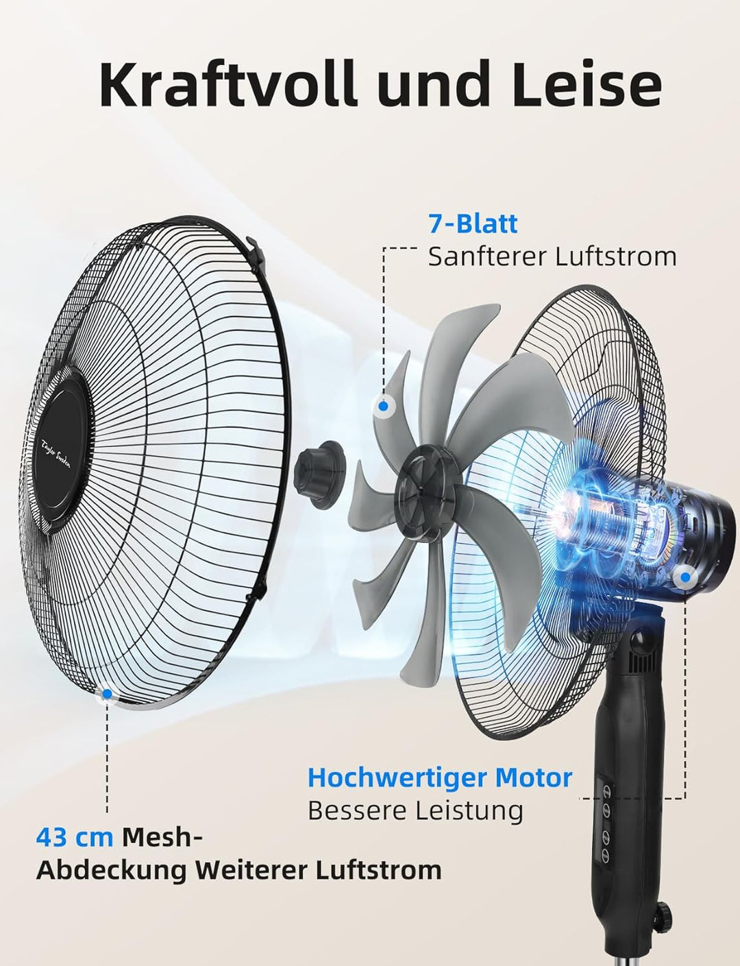 Taylor Swoden Standventilator mit Fernbedienung, Leise, 9h Timer, LED-Anzeige, 7-Flügel, Höhenverste