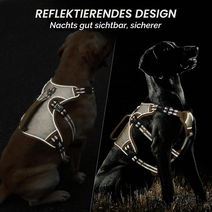 HEELE Hundegeschirr, Ausbruchsicher, Schnalle im Halsbereich, Reflektierend, Brustgeschirr mit Robus