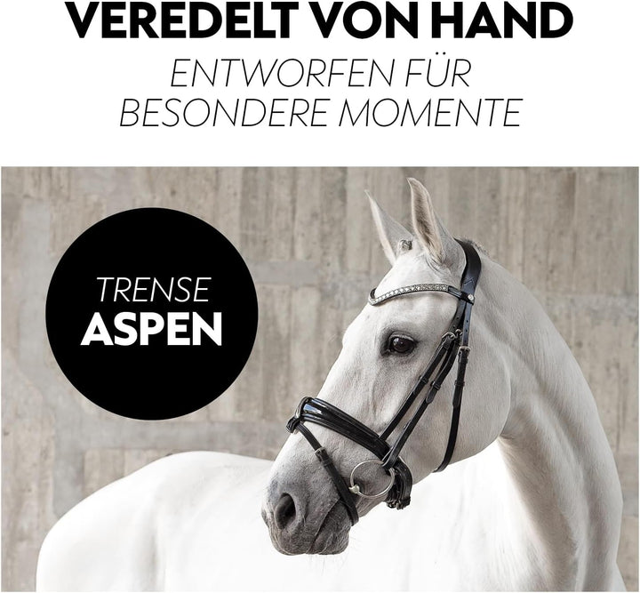 SUNRIDE schwedische Trense Aspen mit Zügel, aus weichem Echtleder mit Lack, verstellbar und anatomis