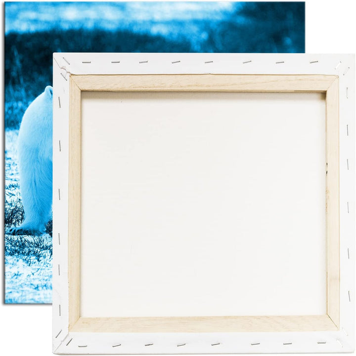deyoli Eindrucksvolle Eisbären Format: 70x70 Effekt: Zeichnung als Leinwandbild, Motiv auf Echtholzr
