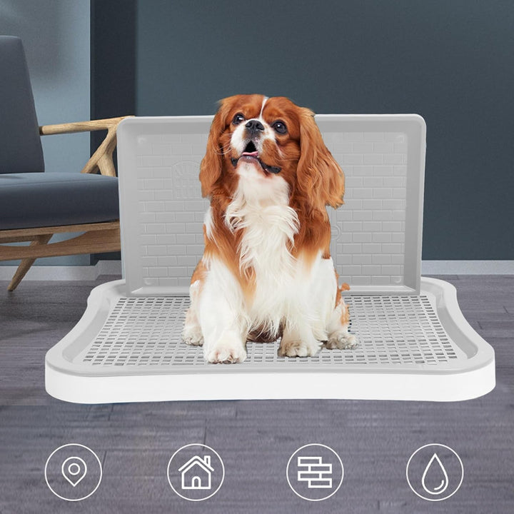Pet Mesh Training Potty, Abnehmbare Wandsäule, Tragbare Feste Hundetrainingstoilette für Haustiere (