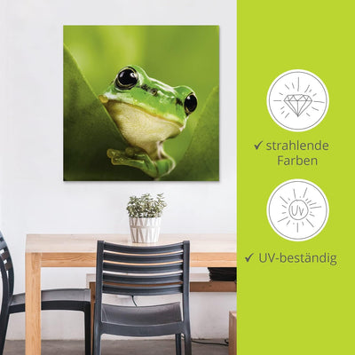 ARTland Wandbild Alu Verbundplatte für Innen & Outdoor Bild 40x40 cm Frosch Tiere Pflanze Natur Süss