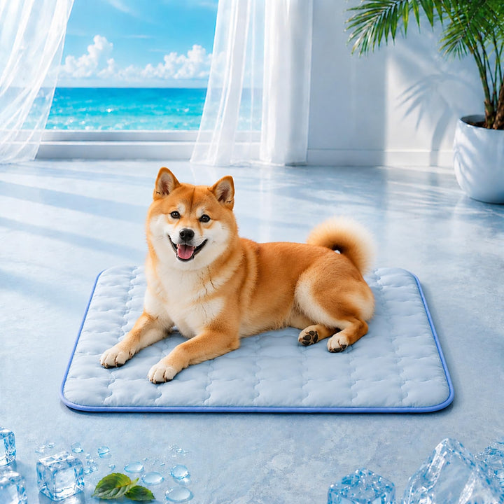 Selbstkühlende Kühlmatte für Hunde und Katzen – 58 × 91 cm – Atmungsaktive Polyester Hundematte, Was