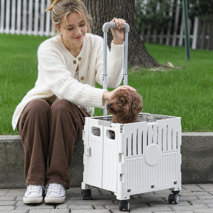 50L Einkaufstrolley Klappbar, für Einkauf &amp; Picknick,Hellgrau | Trolley Einkaufstrolley, mit Telesko