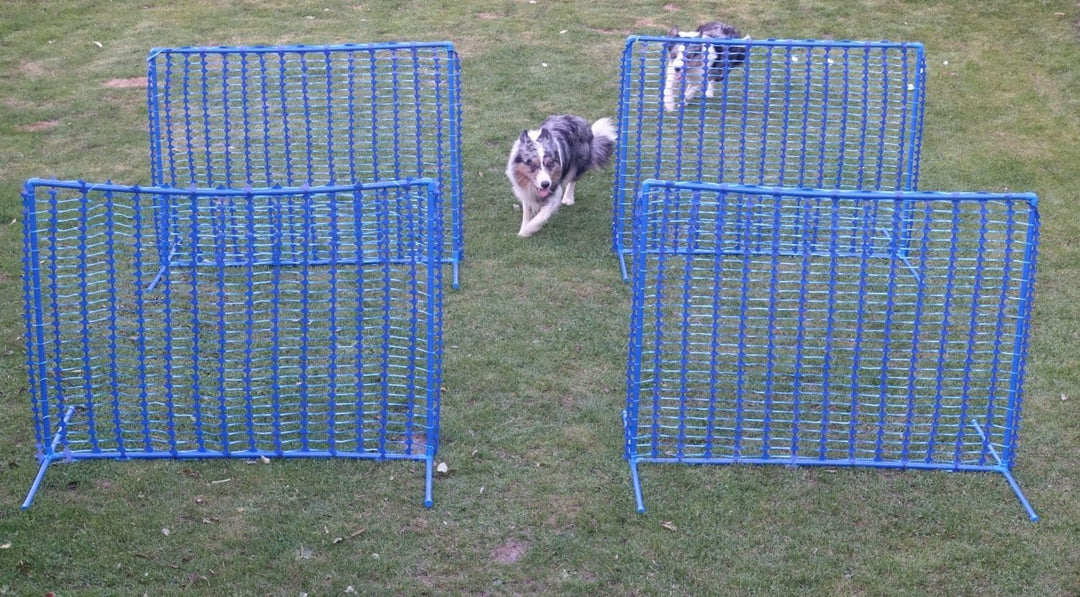 4X Hoopers Zaun „Blue Gate”/Gatter - NADAC Hoopers Agility Gerät – Hoopers Agility Gate